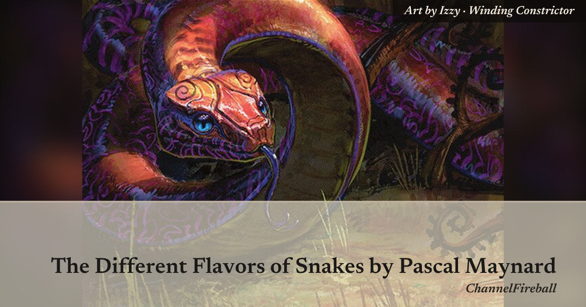 The Different Flavors of Snakes — Library of Leng